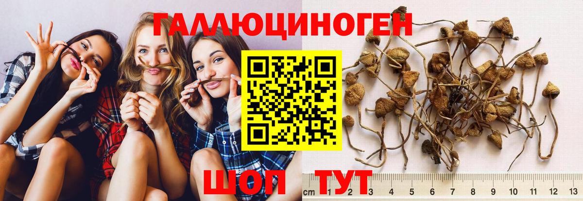 Галлюциногенные грибы ЛСД Лесной