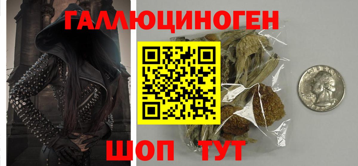 Лесной  Псилоцибиновые грибы GOLDEN TEACHER  Вход с VPN 